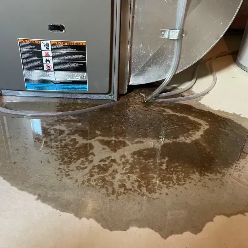 Appliance Leak Cleanup in Christopher, IL